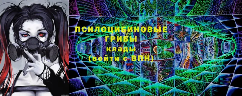 Псилоцибиновые грибы Cubensis  Рыльск 